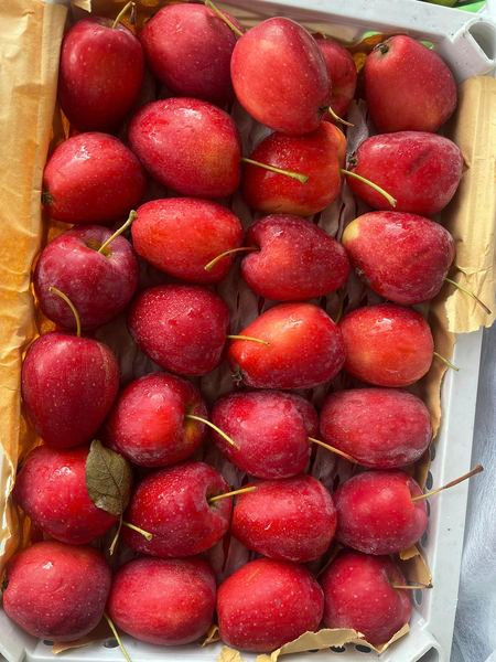 Thời gian gần đây, trên thị trường xuất hiện loại táo cherry có kích thước nhỏ, chỉ bằng quả quýt, màu đỏ, bắt mắt và đặc biệt cuống dài như cherry. Ảnh: Facebook