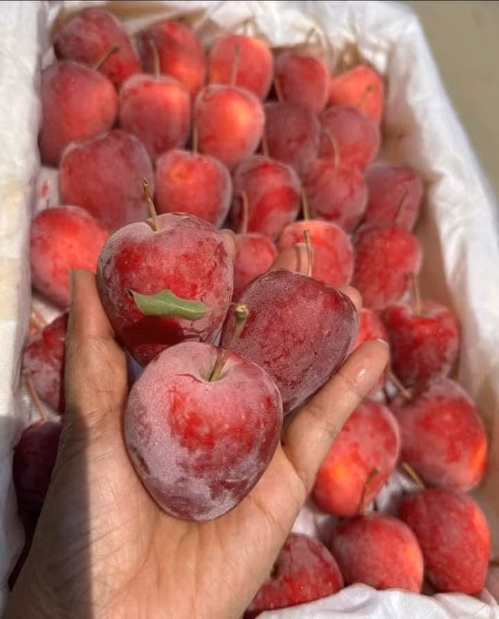 Tuy nhiên, theo tiết lộ của một người bán hoa quả tại Long Biên (Hà Nội), đây là táo cherry của Trung Quốc. Ảnh: Facebook