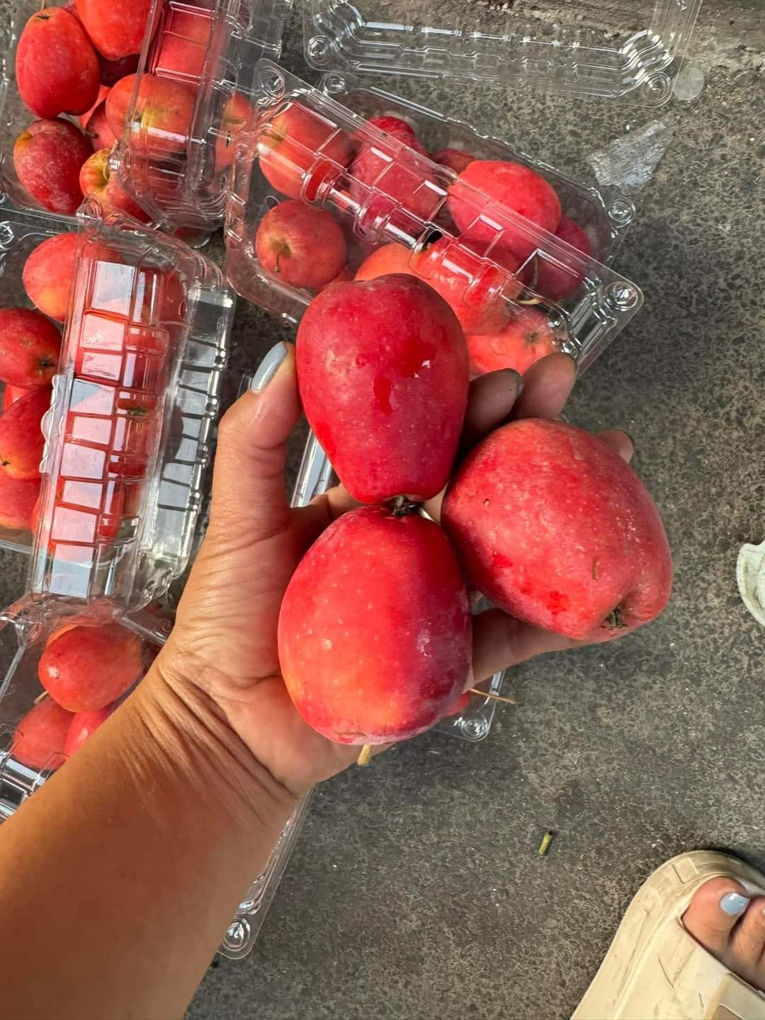 Trái với lời quảng cáo và mẫu mã đẹp như trong tranh, loại táo cherry chị Trang mua ăn có vị chua và chát. Ảnh: Facebook