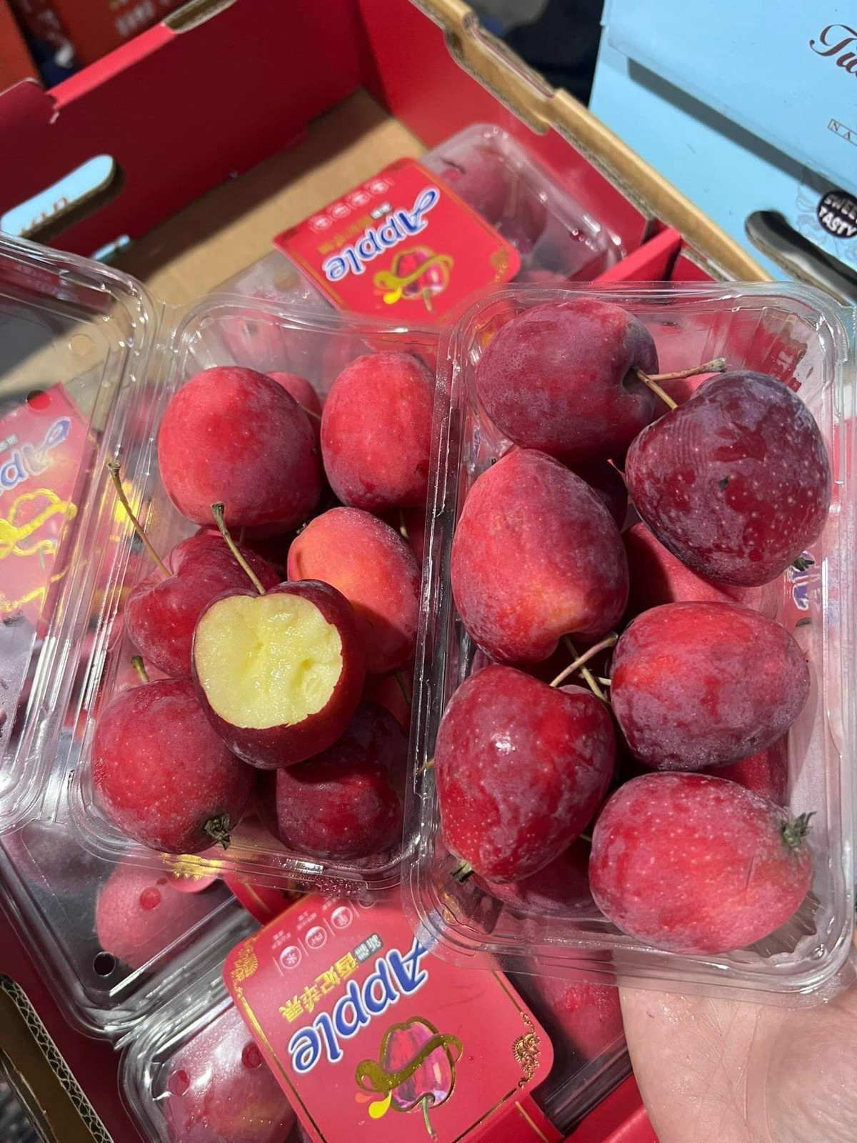 Vì vậy, để mua được táo cherry chuẩn, giòn ngọt, người tiêu dùng nên chọn địa chỉ uy tín, có cam kết chất lượng, tránh mua phải táo kém chất lượng. Ảnh: Facebook