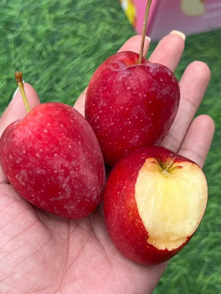 Theo Người đưa tin, một người sống ở Trung Quốc cho biết, loại quả này có tên chính xác là quả tim gà, giá rất rẻ. Quả này giống táo nhưng không ngon bằng táo đá nên ở Trung Quốc bán đầy đường, giá 6 tệ/kg (khoảng 20.000 VNĐ). Ảnh: Facebook