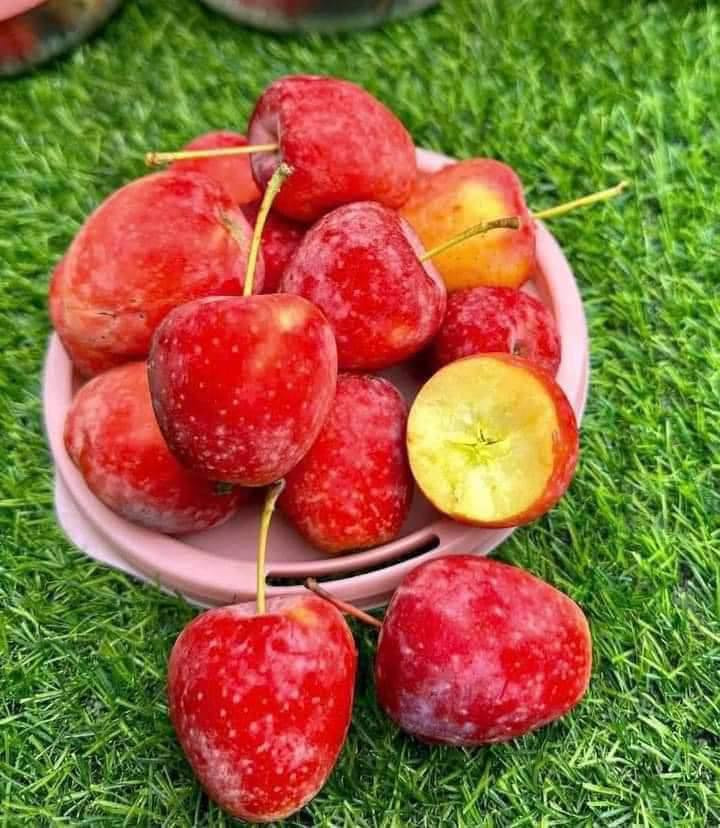 Anh Tuấn bán hoa quả hơn 10 năm tại chợ Long Biên (Hà Nội) cho biết, táo cherry nhập về Việt Nam có nhiều loại. Trong đó, loại quả tròn thường ngọt hơn quả dài, màu đỏ đậm sẽ ngọt hơn loại màu đỏ nhạt pha vàng. Ảnh: Facebook