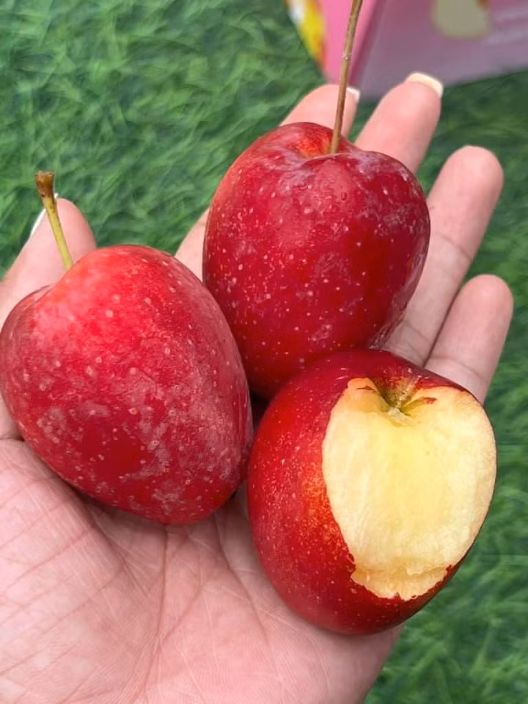 Theo Người đưa tin, một người sống ở Trung Quốc cho biết, loại quả này có tên chính xác là quả tim gà, giá rất rẻ. Quả này giống táo nhưng không ngon bằng táo đá nên ở Trung Quốc bán đầy đường, giá 6 tệ/kg (khoảng 20.000 VNĐ). Ảnh: Facebook