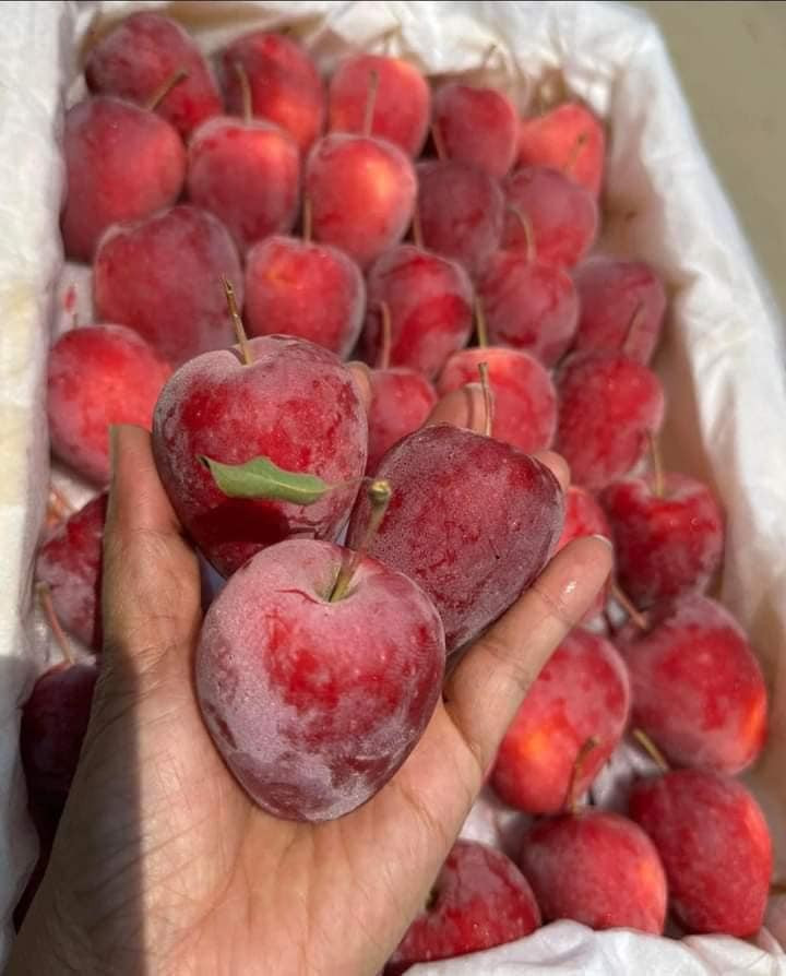 Tuy nhiên, theo tiết lộ của một người bán hoa quả tại Long Biên (Hà Nội), đây là táo cherry của Trung Quốc. Ảnh: Facebook