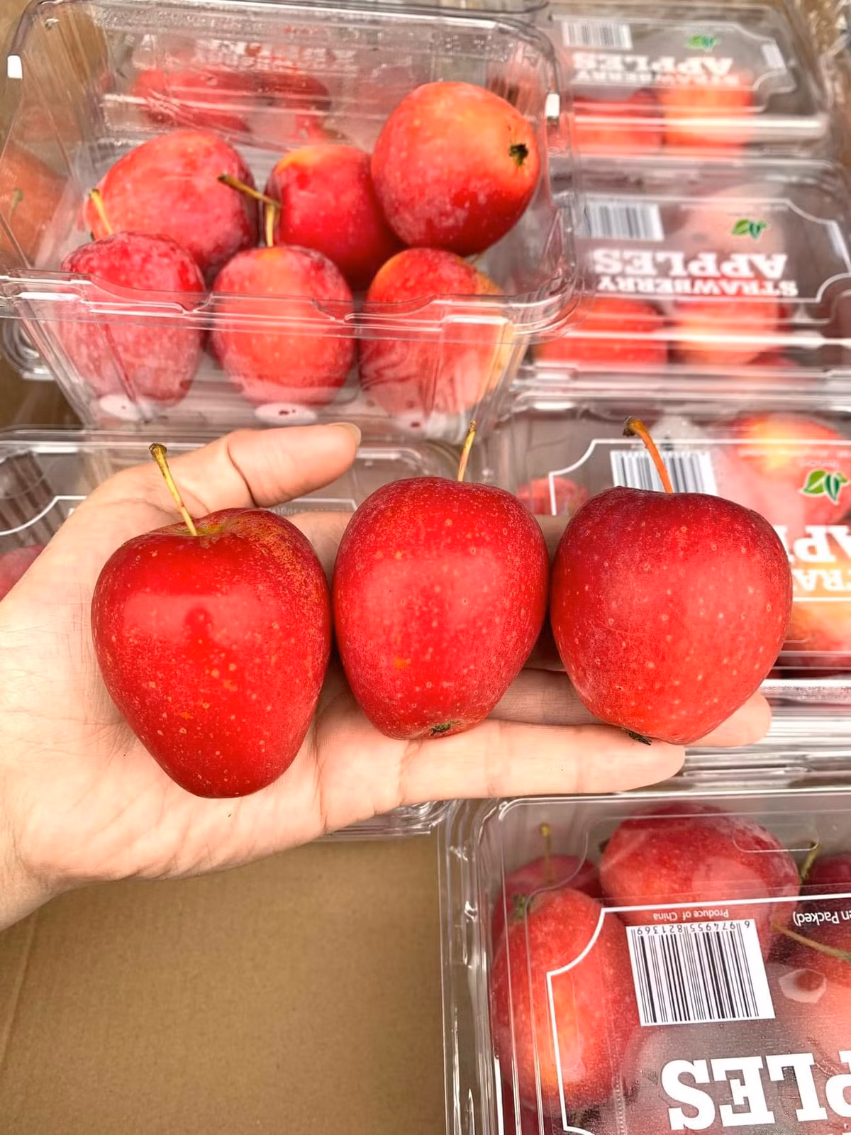 Những năm trước, táo cherry Trung Quốc có màu vàng nhạt nhưng năm nay màu đỏ đẹp mắt, được đóng thành từng hộp hoặc vào thùng nhựa, phù hợp làm quà biếu, tặng. Ảnh: Facebook