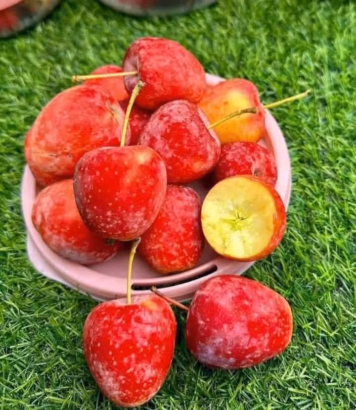 Anh Tuấn bán hoa quả hơn 10 năm tại chợ Long Biên (Hà Nội) cho biết, táo cherry nhập về Việt Nam có nhiều loại. Trong đó, loại quả tròn thường ngọt hơn quả dài, màu đỏ đậm sẽ ngọt hơn loại màu đỏ nhạt pha vàng. Ảnh: Facebook