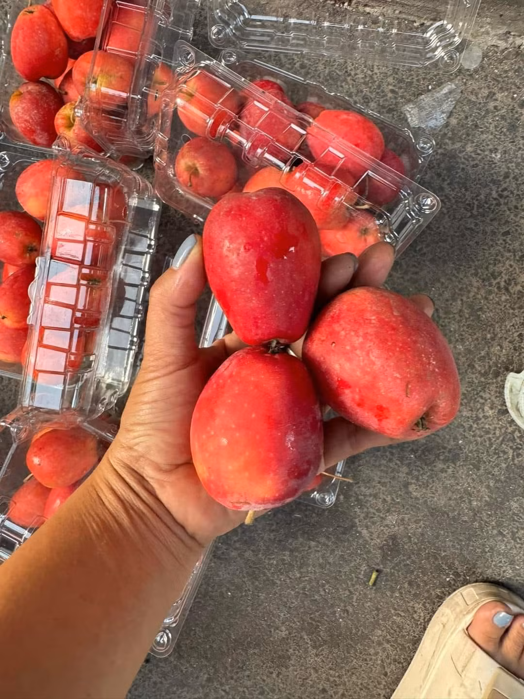 Trái với lời quảng cáo và mẫu mã đẹp như trong tranh, loại táo cherry chị Trang mua ăn có vị chua và chát. Ảnh: Facebook