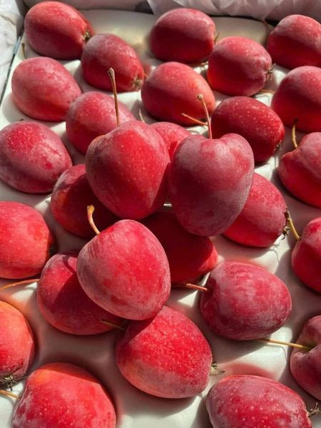 Táo cherry được rao bán từ 75.000 - 85.000 đồng/kg. Ngoài ra, một số cửa hàng quảng cáo là táo cherry Mỹ hoặc táo cherry Hàn Quốc, giá từ 120.000 - 150.000 đồng/kg. Ảnh: Facebook