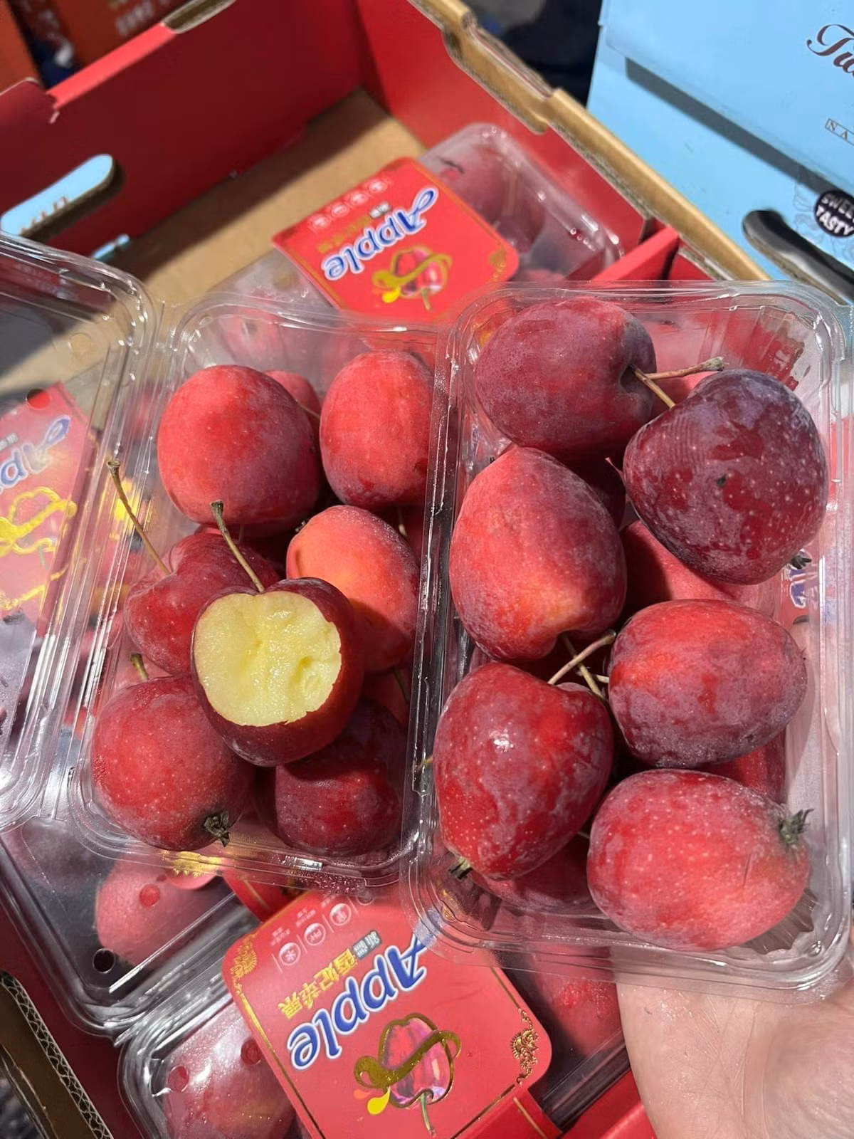 Vì vậy, để mua được táo cherry chuẩn, giòn ngọt, người tiêu dùng nên chọn địa chỉ uy tín, có cam kết chất lượng, tránh mua phải táo kém chất lượng. Ảnh: Facebook