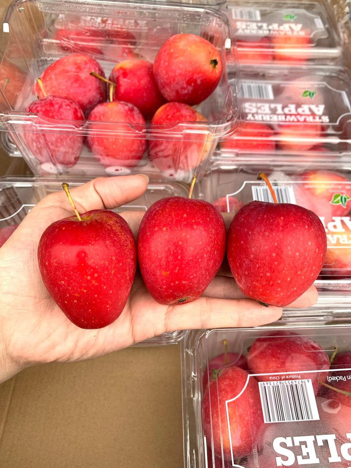 Những năm trước, táo cherry Trung Quốc có màu vàng nhạt nhưng năm nay màu đỏ đẹp mắt, được đóng thành từng hộp hoặc vào thùng nhựa, phù hợp làm quà biếu, tặng. Ảnh: Facebook