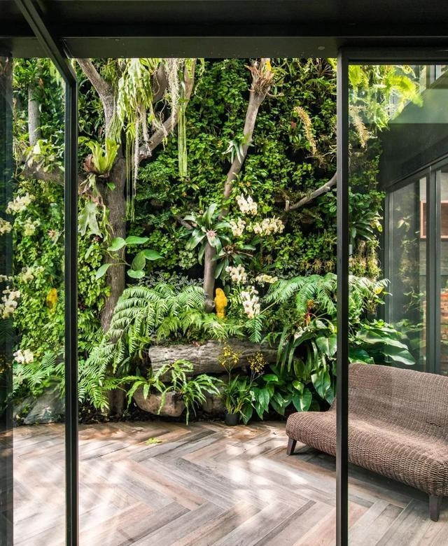 Gia chủ trồng cây và hoa xung quanh nhà, tạo thảm thực vật phong phú. Ảnh: Toutiao