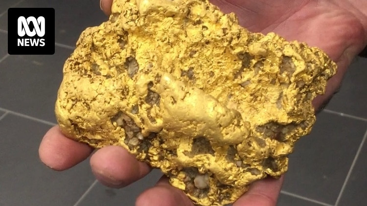 Cục vàng khổng lồ được nhiều người sưu tầm vàng trả giá 160.000 đôla Úc (tương đương gần 2,7 tỷ đồng) nhưng người đàn ông này vẫn chưa bán. Ảnh: ABC News