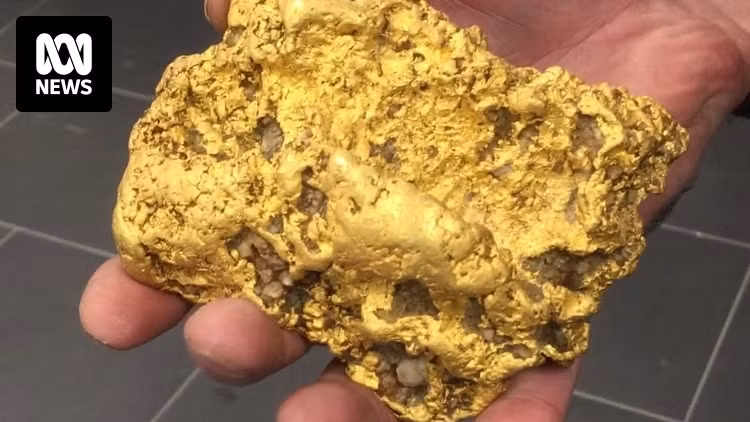 Cục vàng khổng lồ được nhiều người sưu tầm vàng trả giá 160.000 đôla Úc (tương đương gần 2,7 tỷ đồng) nhưng người đàn ông này vẫn chưa bán. Ảnh: ABC News