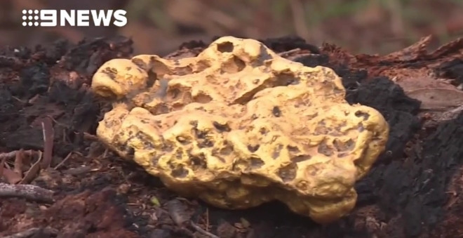 Người đàn ông không giấu được niềm vui khi bất ngờ tìm thấy kho báu giá trị. Ông luôn nằm mơ về điều này và khi nó xảy ra, ông càng kinh ngạc. Ảnh: 9news