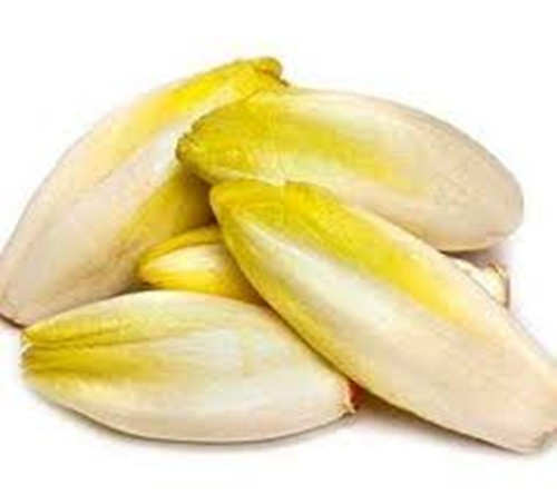 Tuy nhiên, với mức giá 80 NDT (274.000đ)/kg chỉ để mua loại rau nhìn giống như cải thảo khiến nhiều người e ngại. Giải pháp của ông Quân là cho mọi người dùng thử miễn phí để gia tăng độ nhận diện của rau chicory trên thị trường. Ảnh: Getty