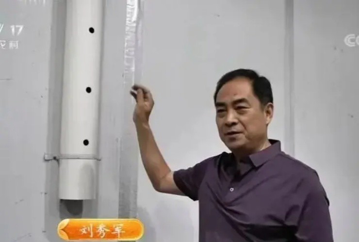 Lưu Tú Quân đã có một hành trình “đổi đời” ngoạn mục khi quyết định chuyển sang trồng rau. Trước đó, ông làm việc trong ngành vật liệu xây dựng và kinh doanh thép, không có kinh nghiệm về nghề nông. Ảnh: CCTV