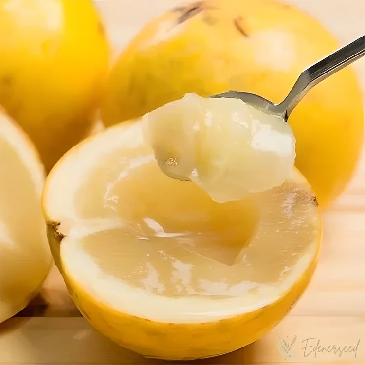 Khi ăn, vú sữa hoàng kim có vị thơm béo, ngọt lịm rất đặc trưng, pha lẫn với một chút mùi xoài. Ảnh: Getty