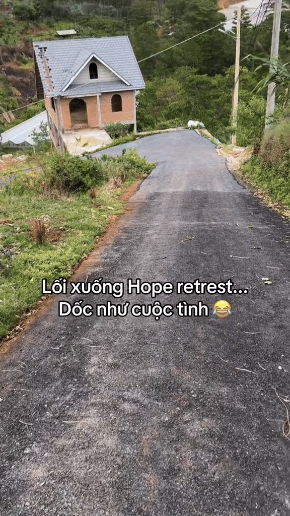 Căn nhà nằm trên trên dốc có view hướng rừng thông vừa lãng mạn vừa gần gũi với thiên nhiên. Ảnh chụp màn hình