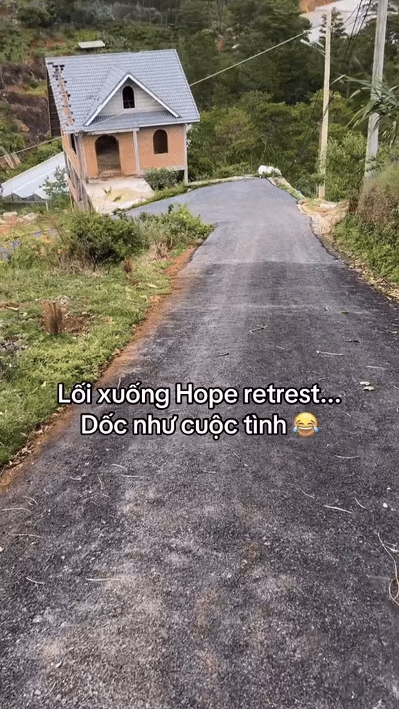 Căn nhà nằm trên trên dốc có view hướng rừng thông vừa lãng mạn vừa gần gũi với thiên nhiên. Ảnh chụp màn hình