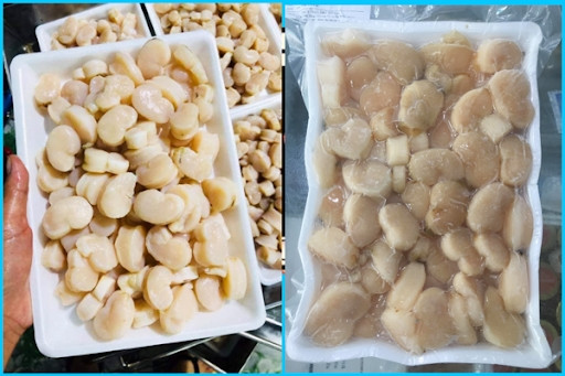 Nhưng ngày nay, loài hải sản này trở thành đặc sản vừa ngon vừa đắt đỏ, giá khoảng 80.000 đồng/kg. Đặc biệt, cồi sò giá lên tới 400.000 đồng/kg. Ảnh: Bien Hai San