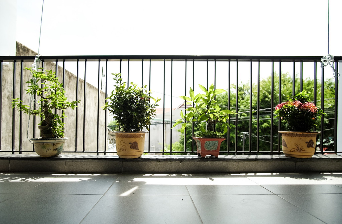 Ban công được trang trí bằng những chậu cây cảnh nhỏ xinh. Ảnh: Luân Nguyễn