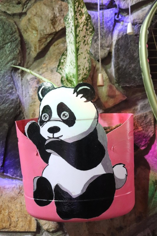 Phải mất hơn 1 ngày, ông mới biến một chiếc bình nước thành chậu cây và trang trí bắt mắt. Ảnh: Thegioitiepthi