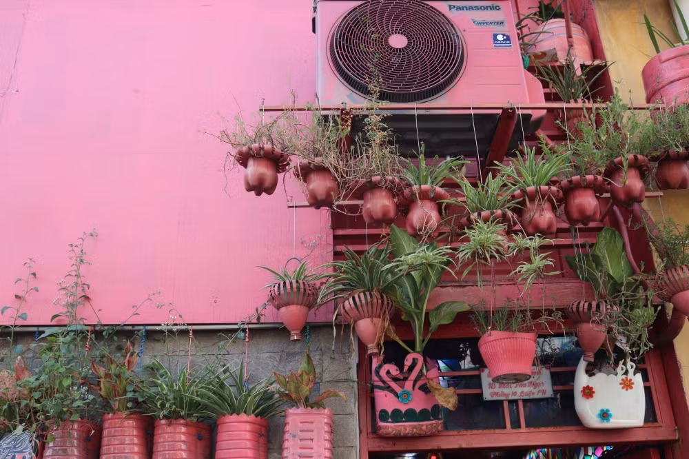 Từ ngoài vào trong, đa số các vật dụng đều "khoác" màu hồng tươi tắn. Ảnh: Sohuutritue