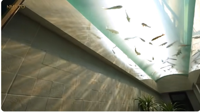 Đặc biệt hơn cả là không gian thư giãn, mát-xa có nguyên một thủy cung tuyệt đẹp. Ảnh chụp màn hình NhaTo