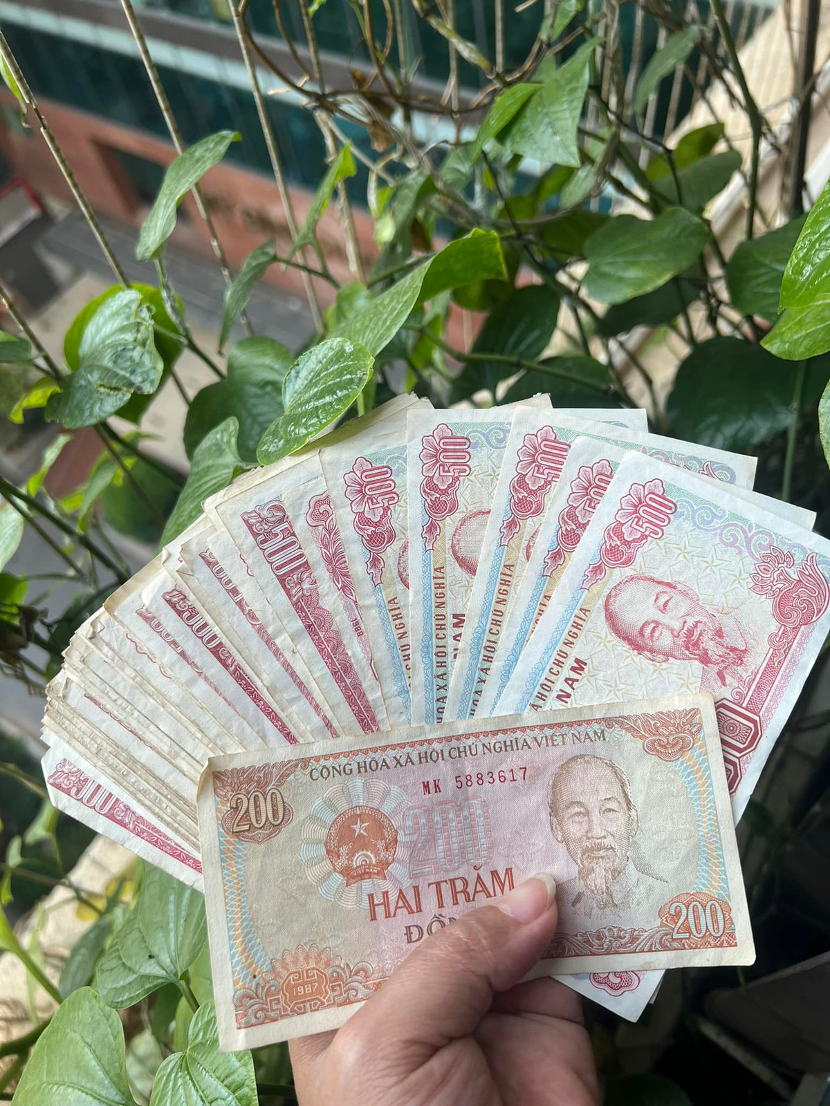 Với nhiều người, tờ 500 đồng chính là một phần kỷ niệm về quá khứ. Ảnh: Facebook