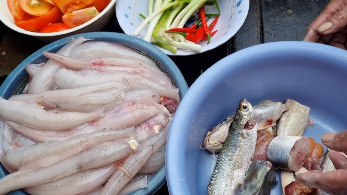 Tuy nhiên, cá khoai là loài thân mềm, rất dễ ươn nên sau khi đánh bắt, ngư dân phải tiêu thụ ngay hoặc vận chuyển đến các tỉnh thành lân cận để đảm bảo cá vẫn tươi. Ảnh: YouTube