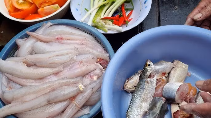 Tuy nhiên, cá khoai là loài thân mềm, rất dễ ươn nên sau khi đánh bắt, ngư dân phải tiêu thụ ngay hoặc vận chuyển đến các tỉnh thành lân cận để đảm bảo cá vẫn tươi. Ảnh: YouTube