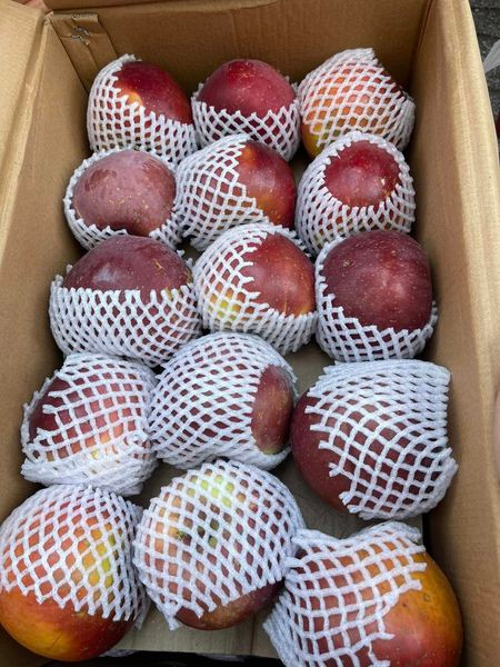 Do hút khách nên nhiều tiểu thương một ngày cả đổ sỉ và bán lẻ, tiêu thụ hết khoảng trên dưới 200 thùng táo đá. Ảnh: Facebook