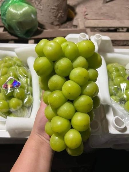 Nếu như trước kia đắt, khách chỉ mua 1 - 2kg nhưng nay nho sữa rẻ nên khách mua cả thùng rất nhiều. Ảnh: Facebook