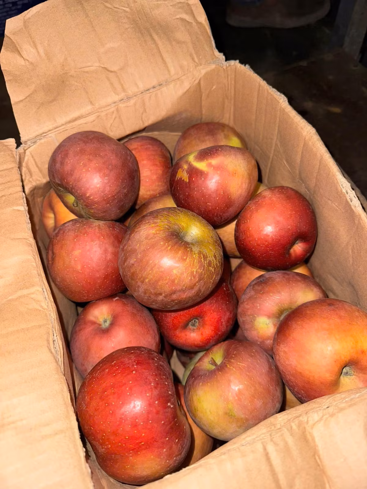 Tại các chợ dân sinh ở Hà Nội, táo đá có giá từ 25.000 đến 30.000 đồng/kg. Khách mua cả thùng 6 - 7kg, giá chỉ từ 140.000 đồng. Ảnh: Facebook