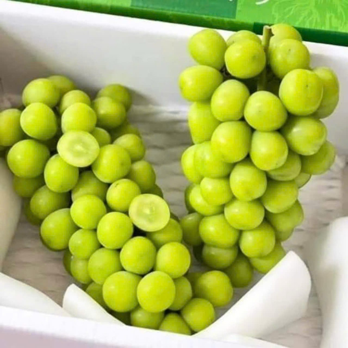 Mỗi chùm nho nặng từ 1-1,5kg, quả to, căng bóng và ngọt thơm. Tuy nhiên, loại nho sữa này chị không bán tách lẻ theo cân mà bán nguyên rành 4,5 đến 10kg. Ảnh: Facebook