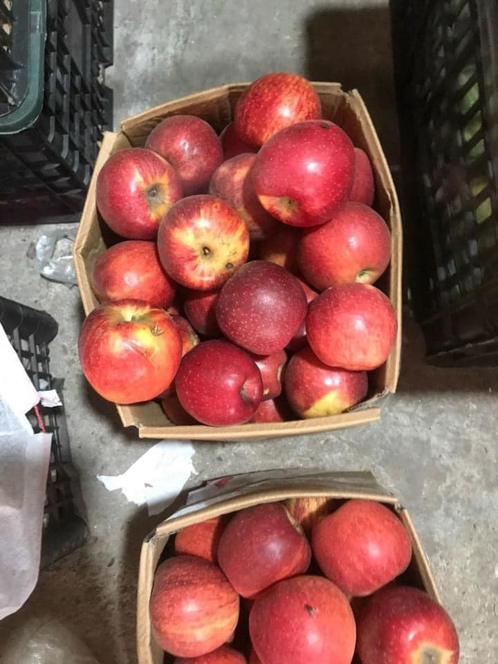 Không có hình thức bắt mắt song táo đá Trung Quốc lại có ưu điểm giòn tan, ngọt, giá rẻ nên cứ vào mùa là hút khách Việt. Ảnh: Facebook