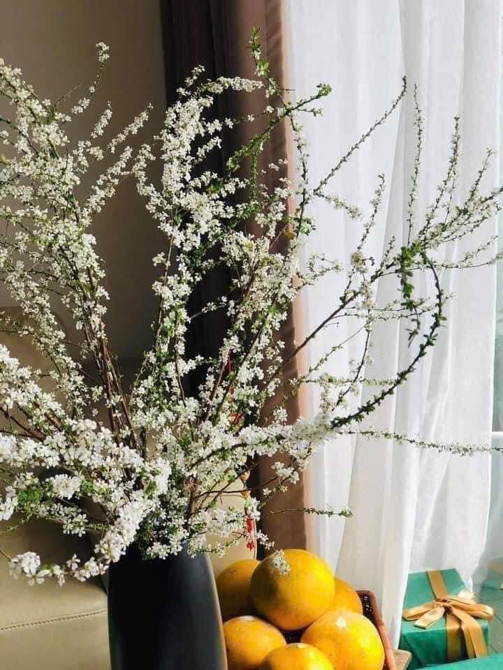 Hoa tuyết mai bán trên thị trường có xuất xứ từ Côn Minh (Trung Quốc). Loại hoa này thường nở vào cuối đông, đầu xuân. Ảnh: FB Vũ Tiên Tiên