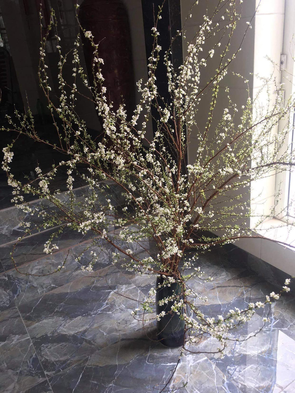 Chị Thảo (một người chuyên bán hoa tại Hà Nội) cho biết, hoa tuyết mai bắt đầu hot tại thị trường Việt Nam vào cuối năm 2021. Đến nay, tuyết mai vẫn được nhiều người yêu thích. Ảnh: FB Nguyễn Bích Thảo