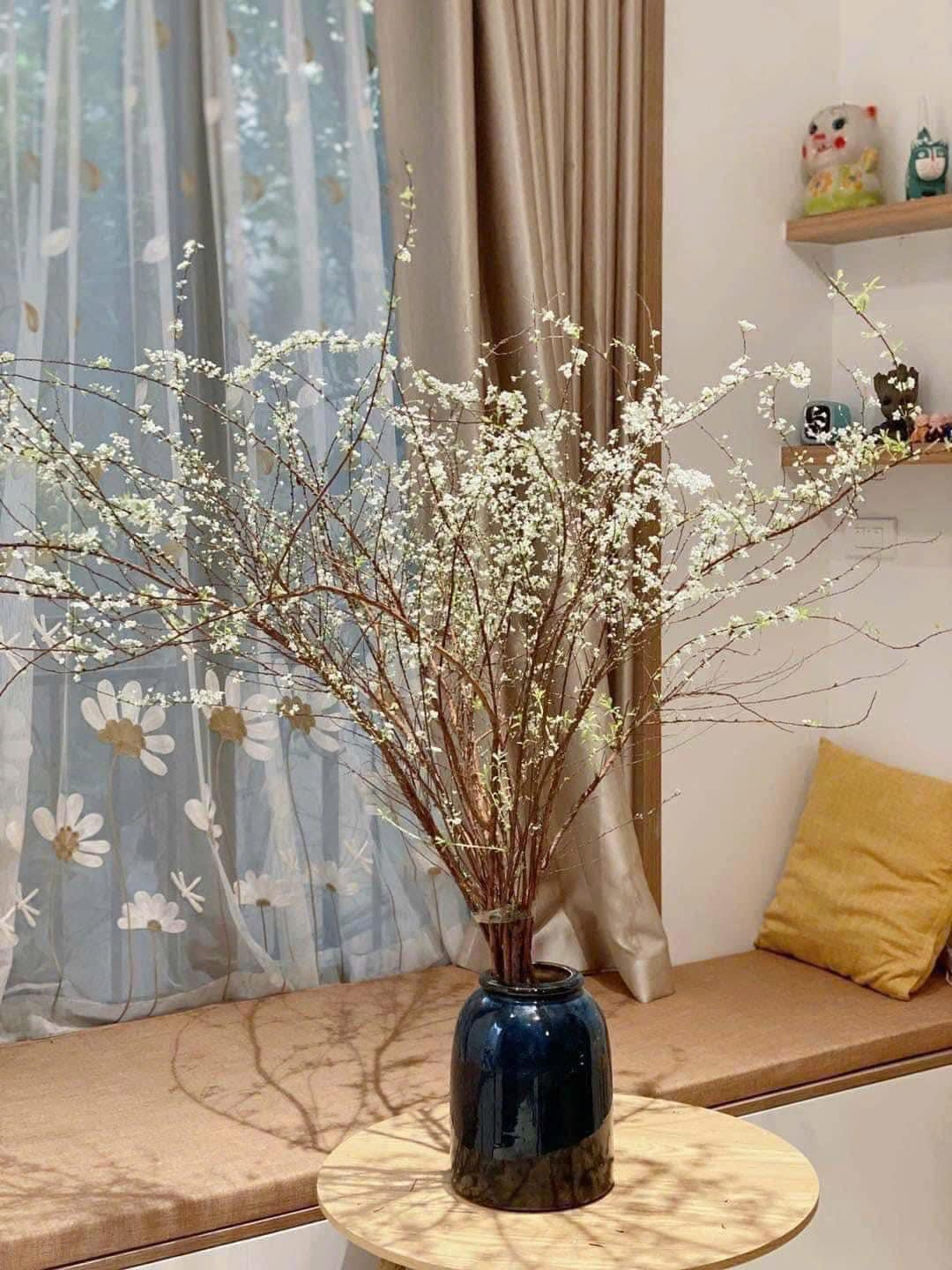 Tuyết mai có thân gỗ nhỏ, mỗi cành dài từ 1,2 - 1,5 mét. Hoa có 5 cánh màu trắng muốt, nhỏ li ti và hương thơm nhẹ nhàng dễ chịu. Ảnh: FB Vũ Tiên Tiên