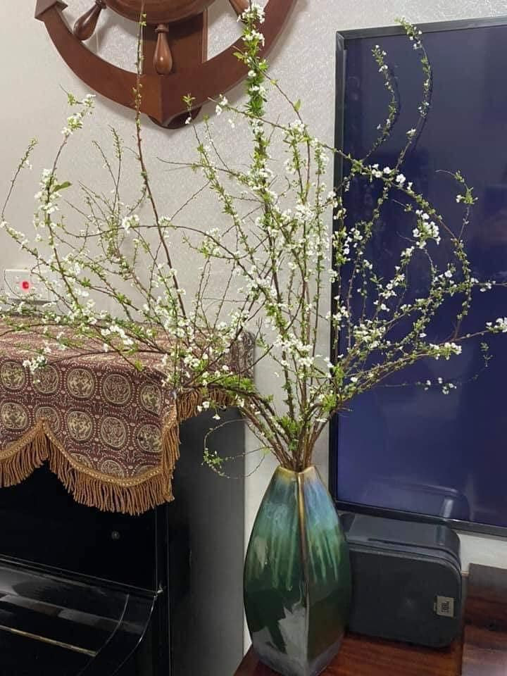 Để có một bình hoa tuyết mai đẹp, nên chọn những bó có cả cành cong và cành thẳng, như vậy khi cắm sẽ có sự mềm mại và uyển chuyển hơn. Ảnh: FB Nguyen My Hanh