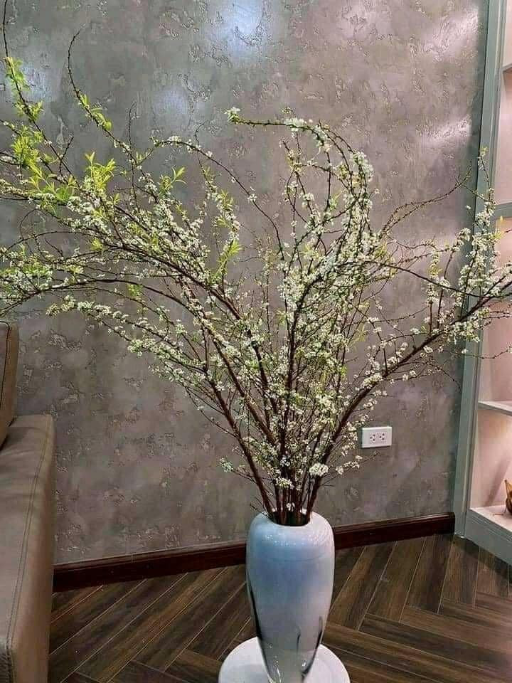 Đặc biệt, hoa tuyết mai khá bền, có thể chơi được 3 - 4 tuần. Ảnh: FB Nguyen My Hanh