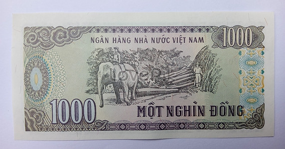 Tờ 1.000 đồng phát hành năm 1989, mặt sau in hình ảnh người lao động cưỡi voi khai thác gỗ tại Tây Nguyên. Ảnh: LovePik