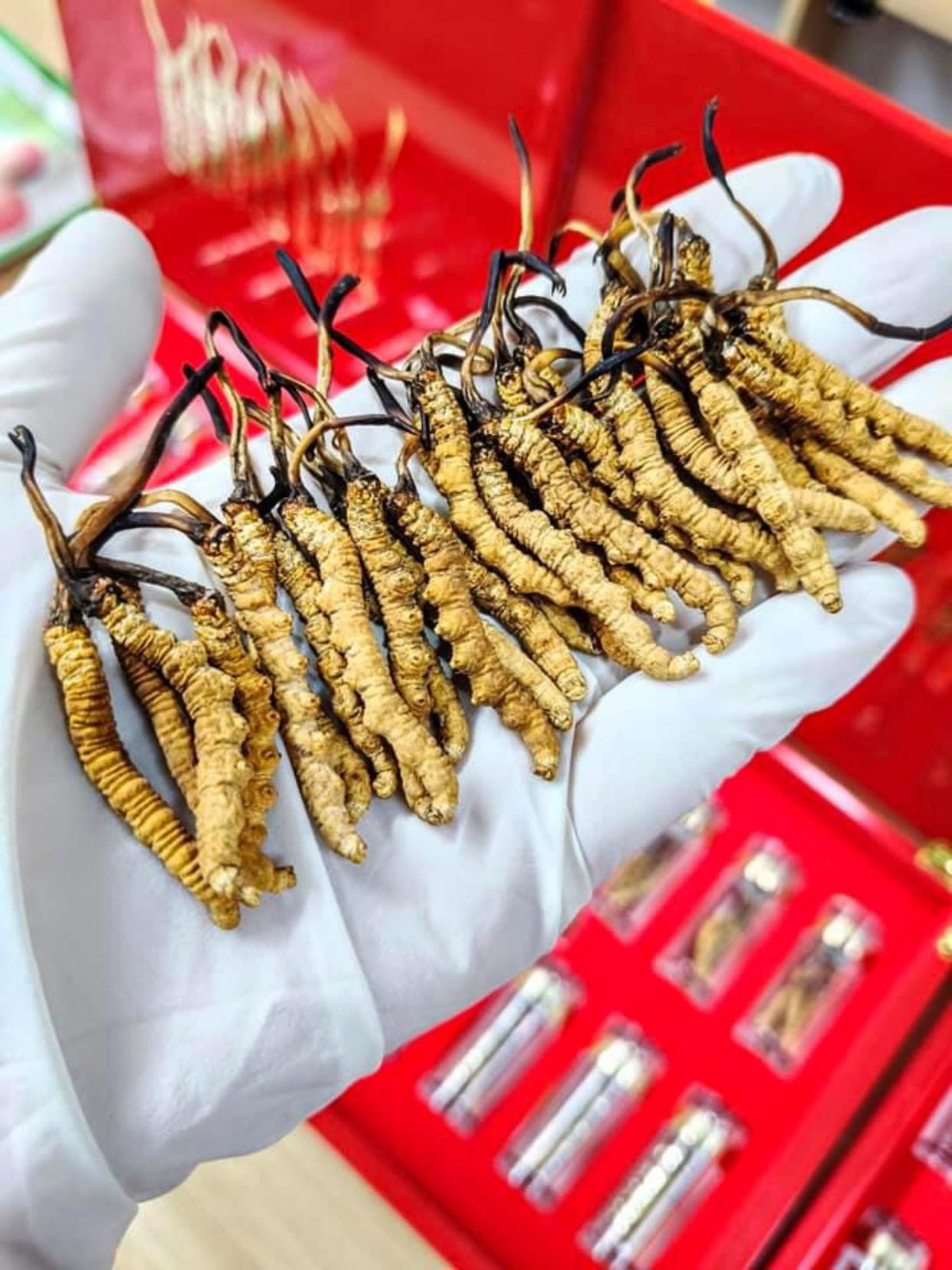 Trong đó, đông trùng đang đổ bộ thị trường Việt, rao bán nhiều trên “chợ mạng” đa phần có xuất xứ từ Tây Tạng và Bhutan. Ảnh; FB Kim Anh