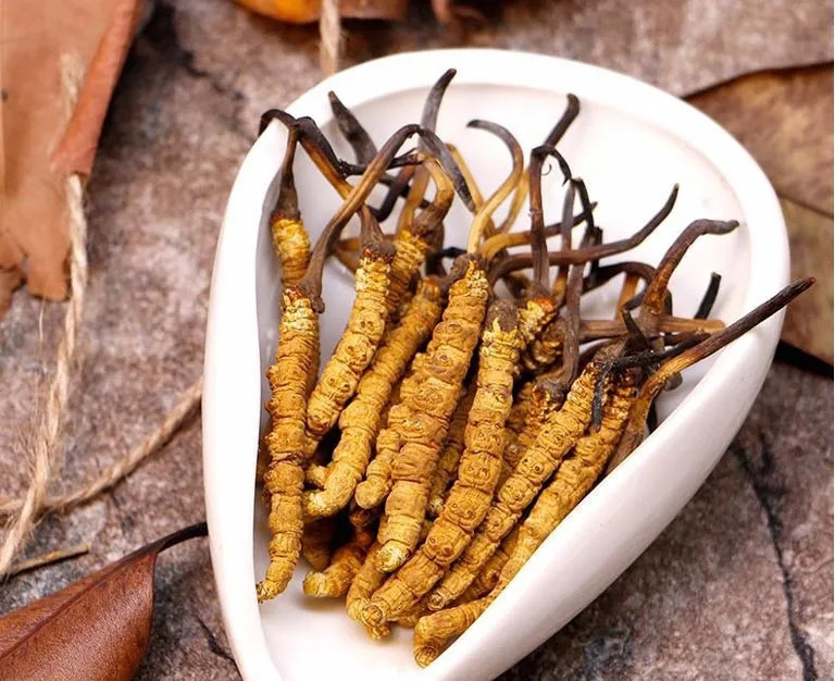 Mùa đông, ấu trùng nằm dưới đất bị bào tử nấm Cordyceps Sinensis nhiễm vào, hút hết dưỡng chất khiến trùng chết khô. Mùa hè sang, nấm sinh cơ chất mọc chồi khỏi mặt đất nhưng gốc vẫn dính liền vào đầu con sâu. Vì vậy, y học gọi đây là đông trùng hạ thảo. Ảnh: Alofood