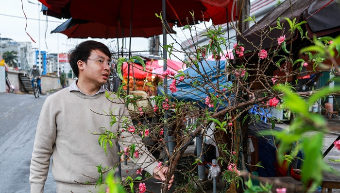 Những cành đào nhỏ và vừa giá dao động từ 120.000 đến 200.000 đồng/cành, cành đào to giá từ 600.000 - 1 triệu đồng/cành. Ảnh: Dân Việt