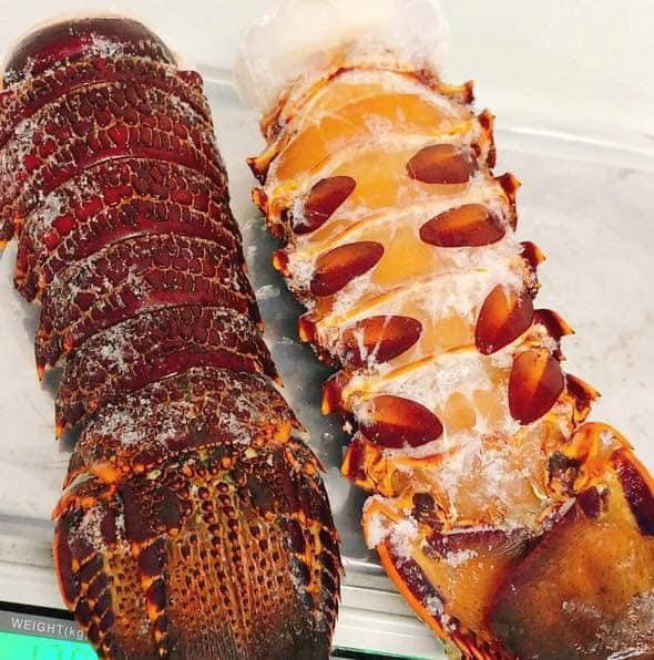 Theo một chủ cửa hàng hải sản cao cao cấp ở Hà Nội, đuôi tôm hùm Úc đông lạnh giá siêu rẻ bán la liệt chợ có thể là hàng sắp hết hạn sử dụng, hoặc hàng bị lỗi. Ảnh: Facebook