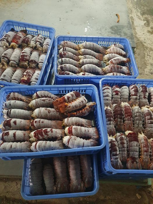 Vì vậy, người tiêu dùng cần thận trọng hơn khi mua những mặt hàng hải sản giá rẻ bất thường. Ảnh: Facebook