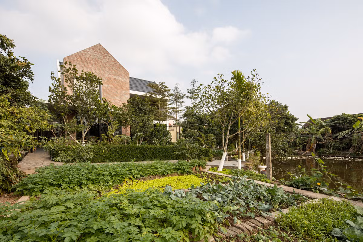 Căn nhà là nơi sinh sống của ông bà và con cháu ghé thăm mỗi dịp cuối tuần. Do đó, mô hình “nông nghiệp tự cung tự cấp” gồm vườn rau ăn quả, ao cá, trang trại nuôi gà, trồng lúa kết hợp trên ruộng được sử dụng triệt để. Ảnh: Hoàng Lê