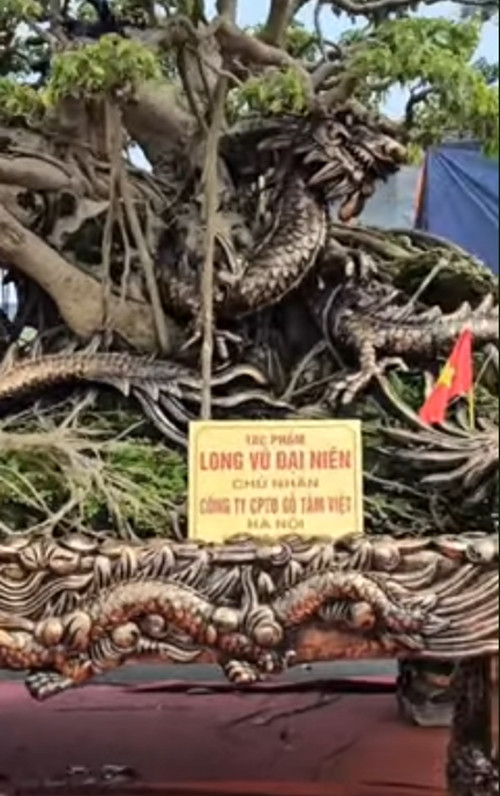 Thân cây uốn lượn kèm theo hình con rồng được đúc bằng đồng rất hoành tráng. Ảnh: chụp màn hình YouTube