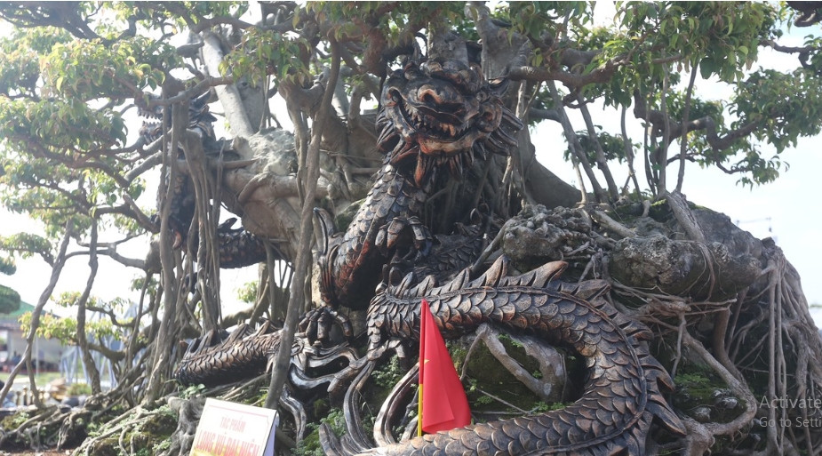 Chủ vườn cho biết, tác phẩm có sự kết hợp giữa gốc sanh cổ trăm tuổi với tượng rồng bằng đồng uốn quanh cây vô cùng độc đáo. Ảnh: Tiền phong